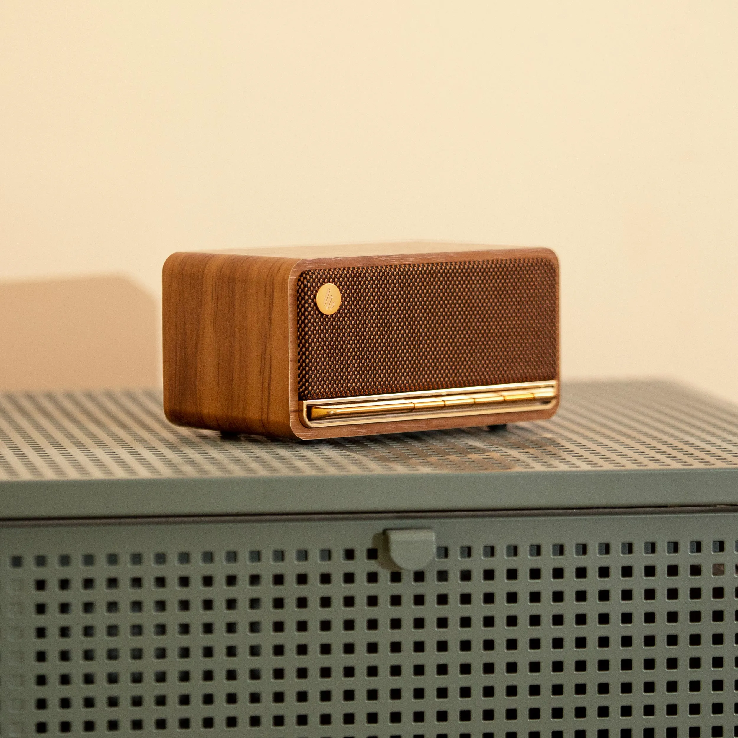 MP230 Portable Bluetooth Speaker